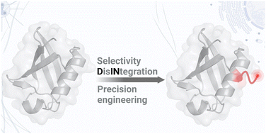 Graphical abstract: Chemical technology principles for selective bioconjugation of proteins and antibodies