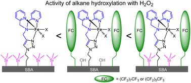Graphical abstract: Oxygenase mimicking immobilised iron complex catalysts for alkane hydroxylation with H2O2