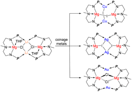 Graphical abstract: Magnesium complexes supported by a dianionic double layer nitrogen–phosphorus ligand: a synthesis and reactivity study