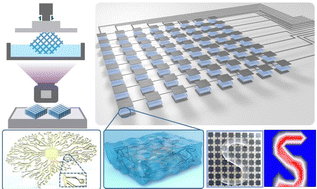 Graphical abstract: A liquid-free conducting ionoelastomer for 3D printable multifunctional self-healing electronic skin with tactile sensing capabilities