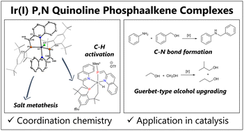 Graphical abstract: P,N-type phosphaalkene-based Ir(i) complexes: synthesis, coordination chemistry, and catalytic applications