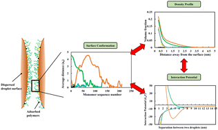 Graphical abstract: Emulsifying properties of plant-derived polypeptide and their conjugates: a self-consistent-field calculation study of the impact of hydrolysis