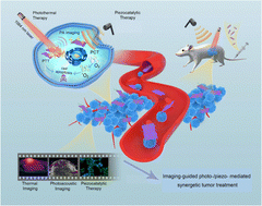 Graphical abstract: Photo-/piezo-activated ultrathin molybdenum disulfide nanomedicine for synergistic tumor therapy