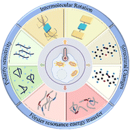 Graphical abstract: Response strategies and biological applications of organic fluorescent thermometry: cell- and mitochondrion-level detection