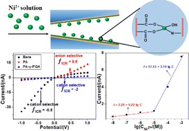 Graphical abstract: Layer-by-layer assembly of homopolypeptide polyelectrolytes on asymmetric nanochannels for the detection of nickel ions