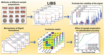 Graphical abstract: Investigating the mechanistic impact of pork soft tissue preparation techniques on the classification precision of laser-induced breakdown spectroscopy