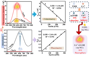 Graphical abstract: Construction of logic gate computation for the assay of the nerve agent sarin based on an AChE-based dual-channel sensing system