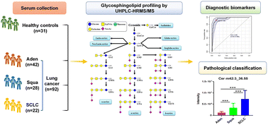 Graphical abstract: Comprehensive profiling of serum glycosphingolipids to discover the diagnostic biomarkers of lung cancer and uncover the variation of glycosphingolipid networks in different lung cancer subtypes