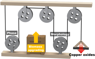 Graphical abstract: Crystal structure optimization of copper oxides for the benzyl alcohol oxidation reaction