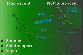 Graphical abstract: Ultrasensitive and versatile hydrogen peroxide sensing via fluorescence quenching