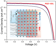 Graphical abstract: Surface ligand manipulation enables ∼15% efficient MAPbI3 perovskite quantum dot solar cells