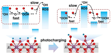 Graphical abstract: Revisiting the photocharging effect on the BiVO4 (010) surface by identifying the charge reaction kinetics