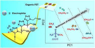 Graphical abstract: An extended-gate-type organic transistor for monitoring the Menschutkin reaction of tetrazole at a solid–liquid interface