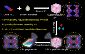 Graphical abstract: Supramolecular chirality capture in solvent monomer-based co-assemblies via in situ photopolymerization