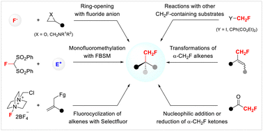 Graphical abstract: Recent advances in catalytic enantioselective construction of monofluoromethyl-substituted stereocenters