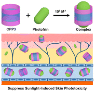 Graphical abstract: A giant macrocycle overcomes the post-treatment phototoxicity of photofrin through host–guest complexation