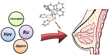 Graphical abstract: Exploring the potential of ruthenium(ii)–phosphine–mercapto complexes as new anticancer agents