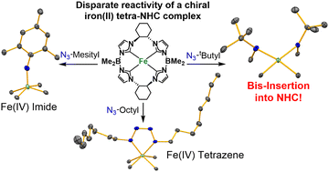 Graphical abstract: Disparate reactivity of a chiral iron(ii) tetracarbene complex with organic azides