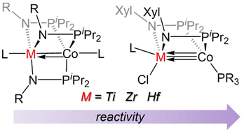 Graphical abstract: Polarized metal–metal multiple bonding and reactivity of phosphinoamide-bridged heterobimetallic group IV/cobalt compounds