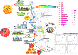Graphical abstract: New insight into the spatiotemporal distribution and ecological risk assessment of endocrine-disrupting chemicals in the Minjiang and Tuojiang rivers: perspective of watershed landscape patterns