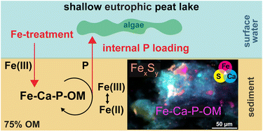 Graphical abstract: Combining sequential extractions with bulk and micro X-ray spectroscopy to elucidate iron and phosphorus speciation in sediments of an iron-treated peat lake