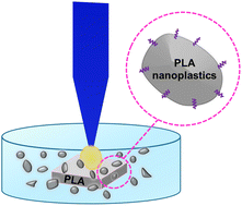 Graphical abstract: Poly(lactic acid) nanoplastics through laser ablation: establishing a reference model for mimicking biobased nanoplastics in aquatic environments