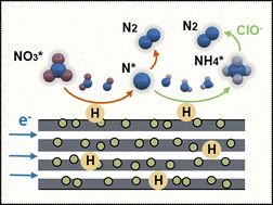 Graphical abstract: Multichannel nitrogen-doped carbon fiber confined Fe3C nanoparticles for efficient electroreduction of nitrate