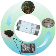 Graphical abstract: Hard carbon derived from Physalis alkekengi L. husks as a stable anode for sodium-ion batteries