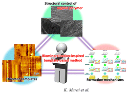 Graphical abstract: Formation mechanism of anisotropic gelatin hydrogel by self-assembly on oriented templates