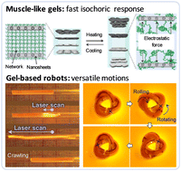 Graphical abstract: Muscle-like hydrogels with fast isochoric responses and their applications as soft robots: a minireview