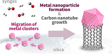 Graphical abstract: Carbon nanotube growth catalyzed by metal nanoparticles formed via the seed effect of metal clusters