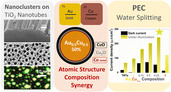 Graphical abstract: AuCu bimetallic nanocluster-modified titania nanotubes for photoelectrochemical water splitting: composition-dependent atomic arrangement and activity