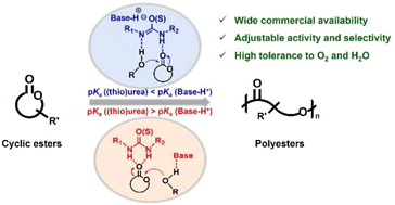 Graphical abstract: Ring-opening polymerization of cyclic esters mediated by base/(thio)urea binary catalysts toward sustainable polyesters
