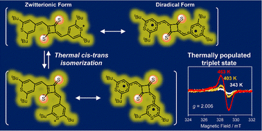 Graphical abstract: Intermediate diradical character and thermal cis–trans isomerization of near-infrared absorbing thionated squaraine dyes