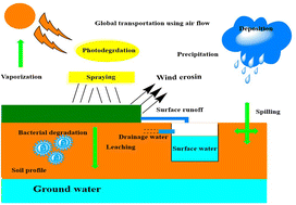 Graphical abstract: Metal oxides and their composites for the remediation of organic pesticides: advanced photocatalytic and adsorptive solutions