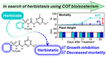 Graphical abstract: In search of herbistasis: COT-metsulfuron methyl displays rare herbistatic properties