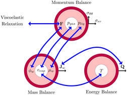 Graphical abstract: Pore development in viscoelastic foods during drying