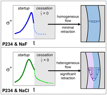 Graphical abstract: Heterogeneity-induced retraction in viscoelastic fluids following cessation of flow