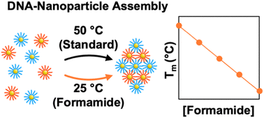 Graphical abstract: Controlling the thermally-driven crystallization of DNA-coated nanoparticles with formamide