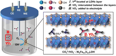 Graphical abstract: Location effects of vanadium in NiFe layered double hydroxides for oxygen evolution reaction