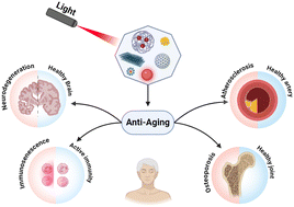 Graphical abstract: Light-responsive functional nanomaterials as pioneering therapeutics: a paradigm shift to combat age-related disorders