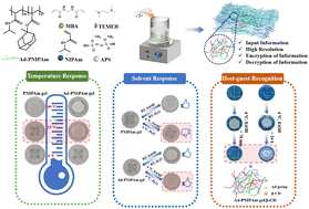Graphical abstract: Lower temperature and solvent dual response induced reversible information encryption and decryption hydrogels with host–guest recognition regulation