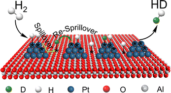 Graphical abstract: Surface acidity as the decisive descriptor for hydroxyl-mediated hydrogen spillover in hydrogen isotope exchange