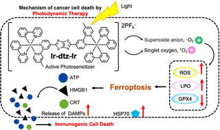 Graphical abstract: A thiazolo[5,4-d]thiazole-bridged dinuclear iridium(iii) photosensitizer induces ferroptosis for boosting photoimmunotherapy against hypoxic melanoma