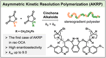 Graphical abstract: Asymmetric kinetic resolution polymerization of racemic O-carboxyanhydride catalyzed by cinchona alkaloids