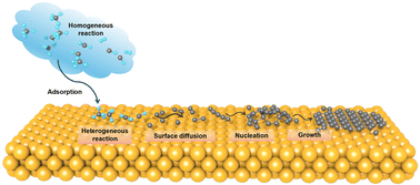 Graphical abstract: Decoding complexity in chemical vapor deposition processes of two-dimensional materials via atomistic modeling