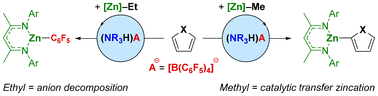 Graphical abstract: Catalytic transfer zincation using ammonium cations
