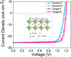 Graphical abstract: Anchoring ligand engineering enables highly stable MA-free perovskite solar cells with a minimal VOC deficit of 0.32 V