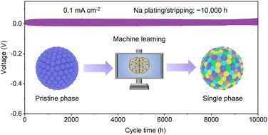 Graphical abstract: Machine learning-accelerated discovery of multi-cation entropy-stabilized NASICON solid electrolytes with 10 000 hours of stable Na plating/stripping for all-solid-state sodium batteries