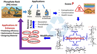 Graphical abstract: Recent developments in polysaccharide-based technologies for phosphorus removal and recovery from wastewater: a review
